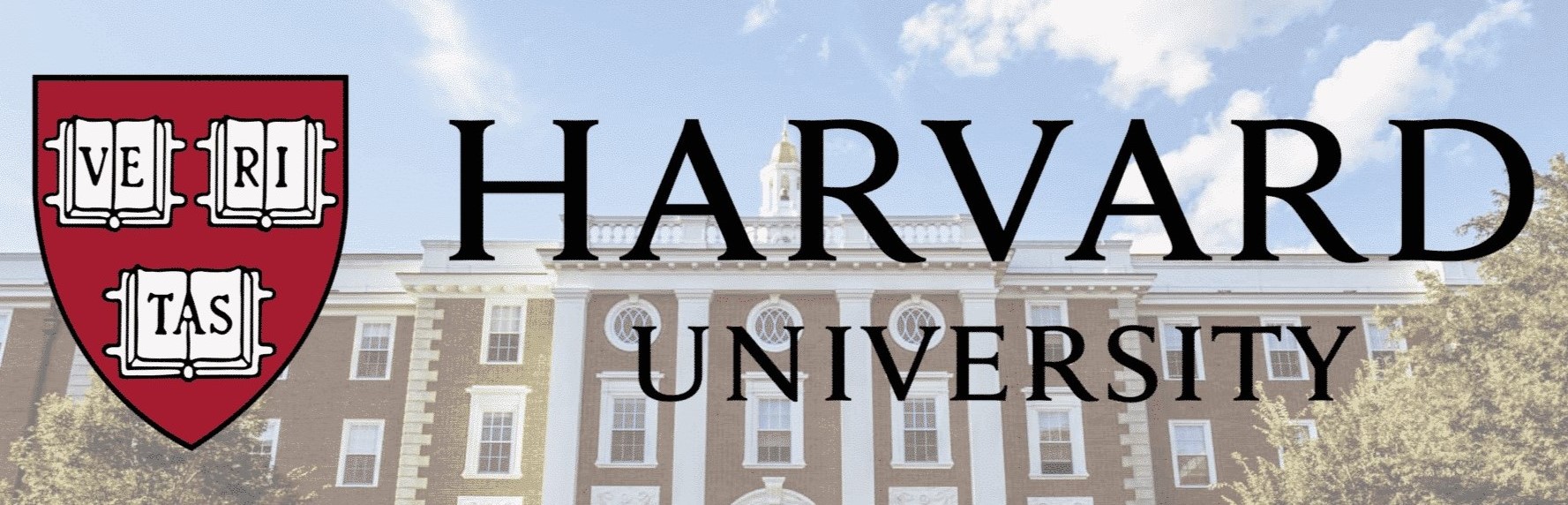 Rattrapée par des polémiques, la présidente de l'Université Harvard démissionne