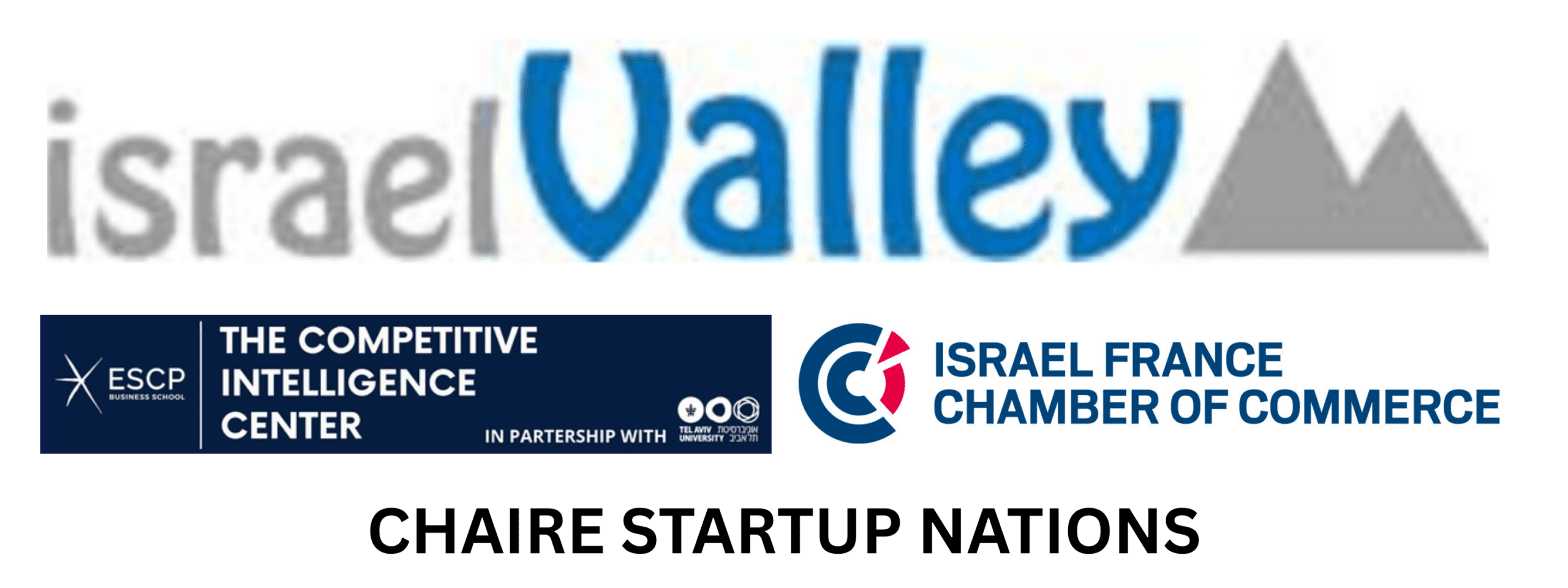 IsraelValley Logo