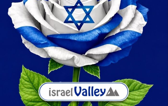 Rose aux couleurs du drapeau israélien avec étoile de David et logo israelValley
